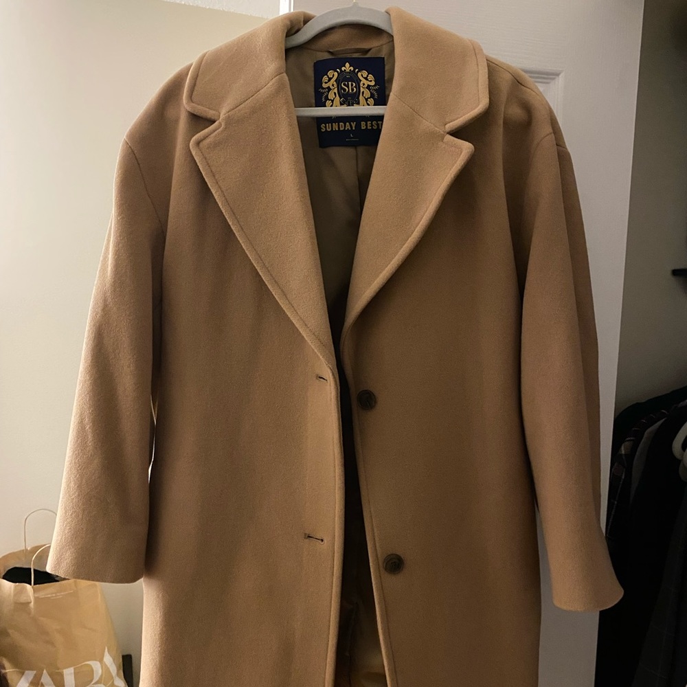 Aritzia princeville coat